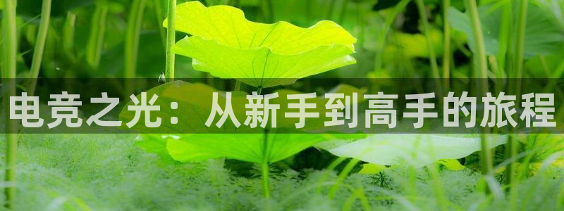 杏悦2平台登录方式