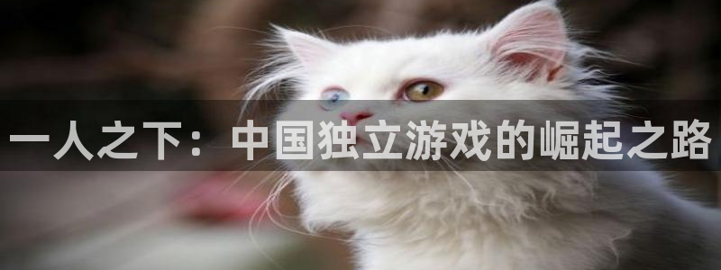 杏悦2老版本更新内容：一人之下：中国独立游戏的崛起之路