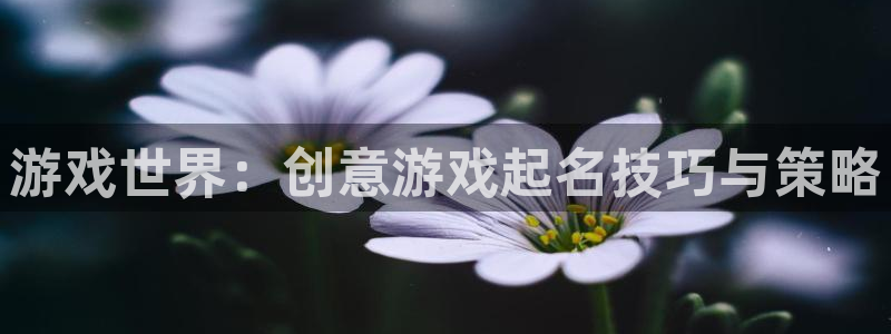 杏悦2平台代理：游戏世界：创意游戏起名技巧与策略