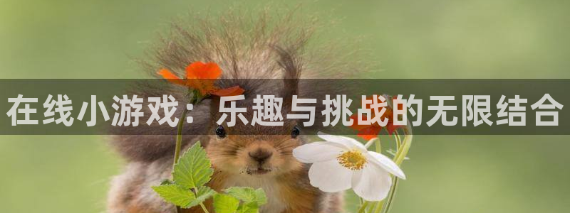 杏悦2老版本更新内容：在线小游戏：乐趣与挑战的无限结合