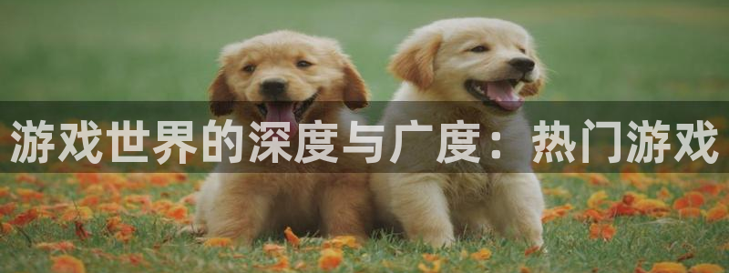 杏悦2官方最新版本更新内容是什么：游戏世界的深度与广度：热门