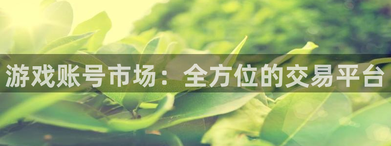 杏悦2网页登录入口：游戏账号市场：全方位的交易平台