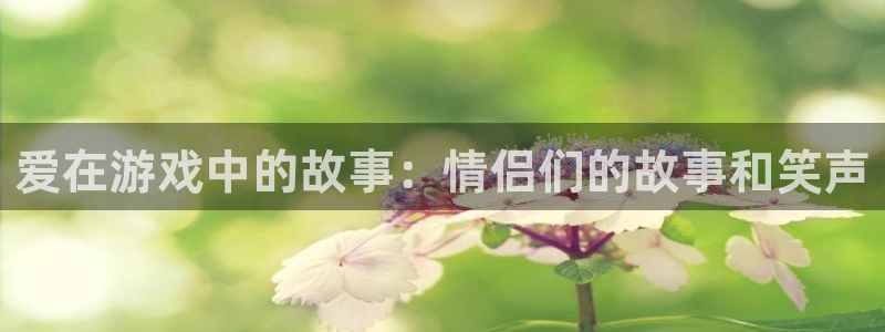 杏悦2官方最新版本更新内容：爱在游戏中的故事：情侣们的故事和