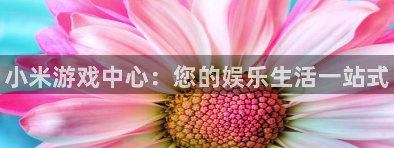 杏悦2会员注册网站：小米游戏中心：您的娱乐生活一站式