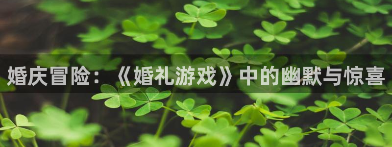 杏悦2平台学科排名：婚庆冒险：《婚礼游戏》中的幽默与惊喜