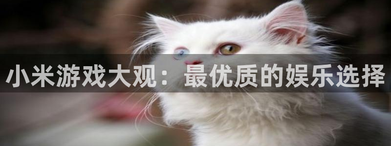 杏悦2老版本更新内容：小米游戏大观：最优质的娱乐选择